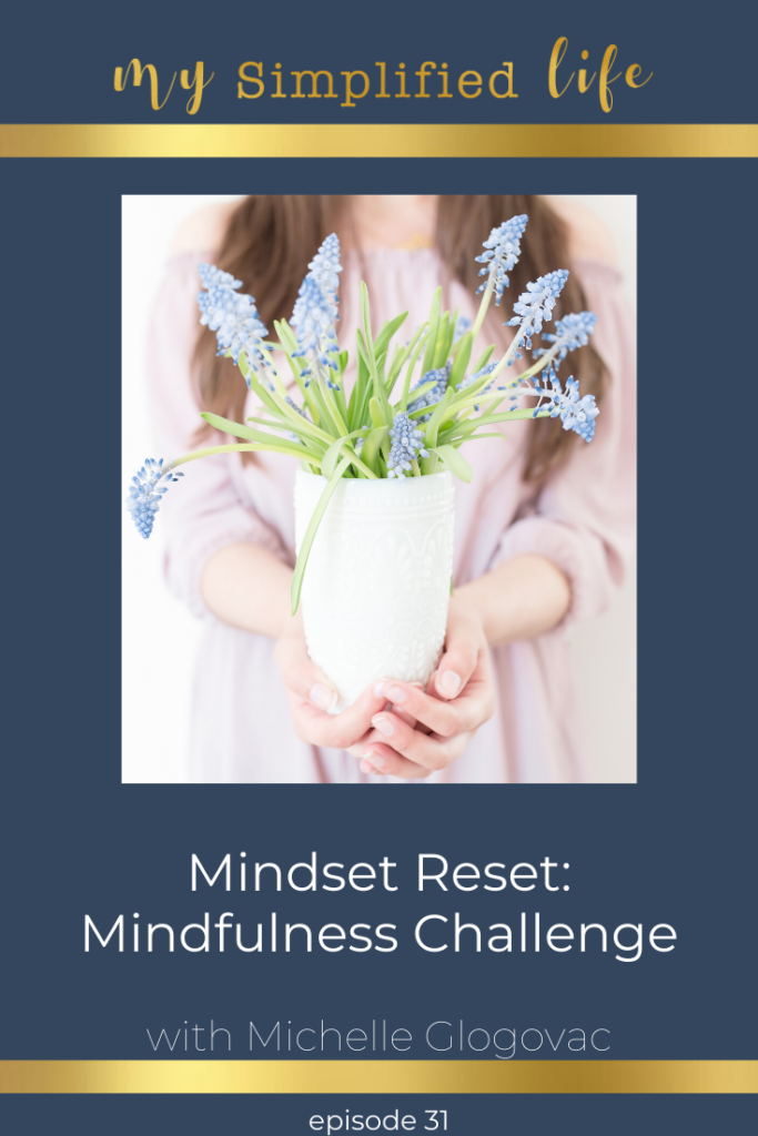 mindset mindfulness challenge